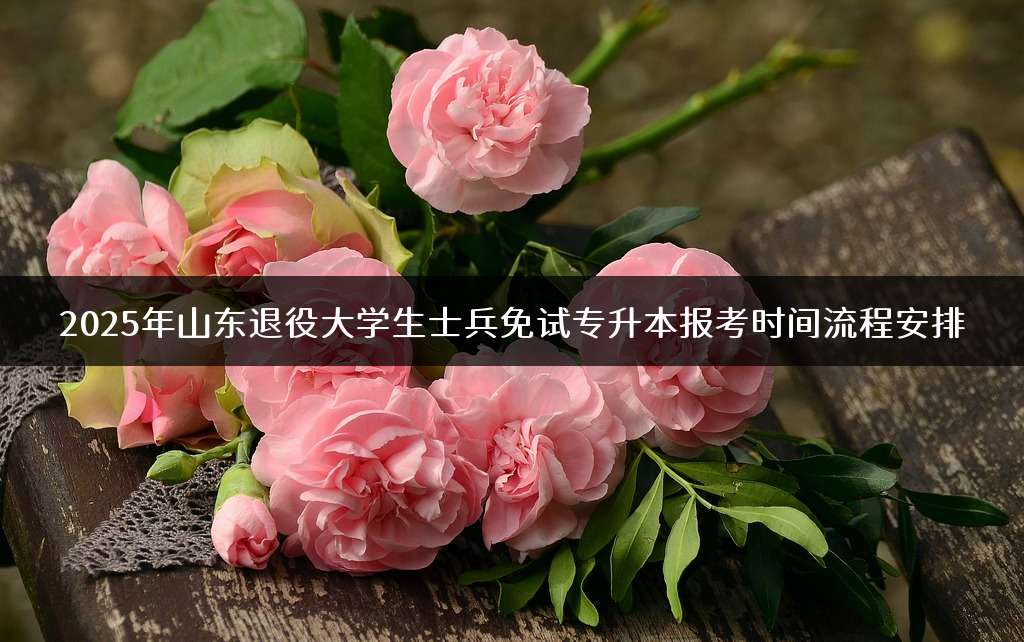 2025年山东退役大学生士兵免试专升本报考时间流程安排