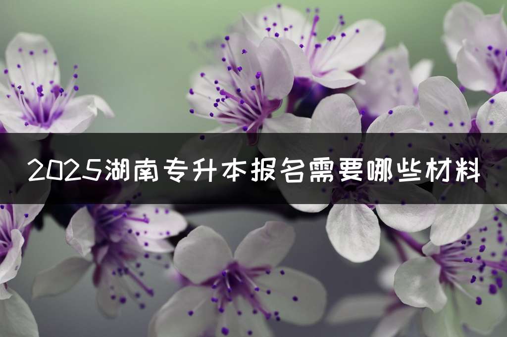 2025湖南专升本报名需要哪些材料