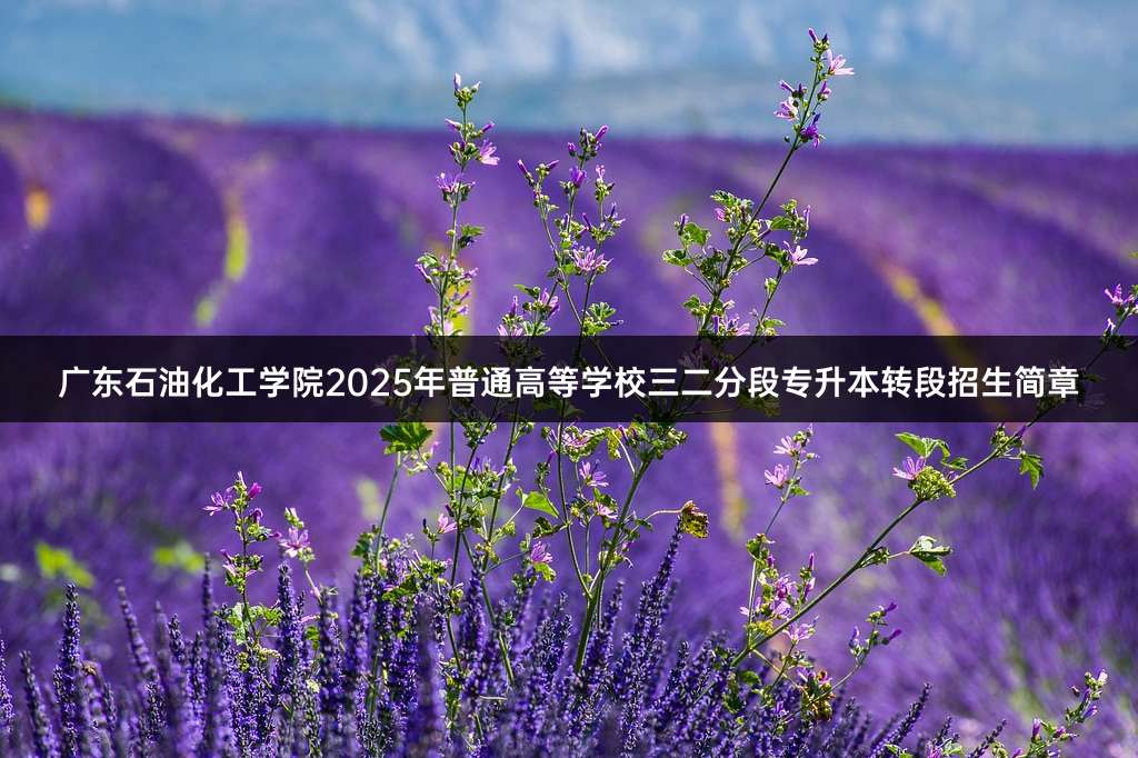广东石油化工学院2025年普通高等学校三二分段专升本转段招生简章