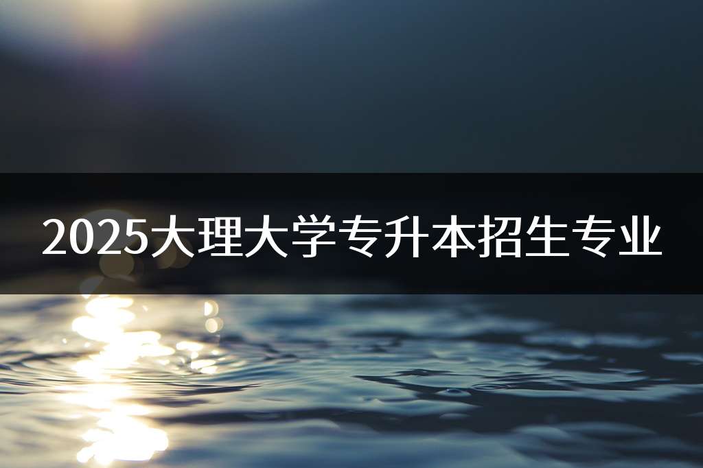 2025大理大学专升本招生专业