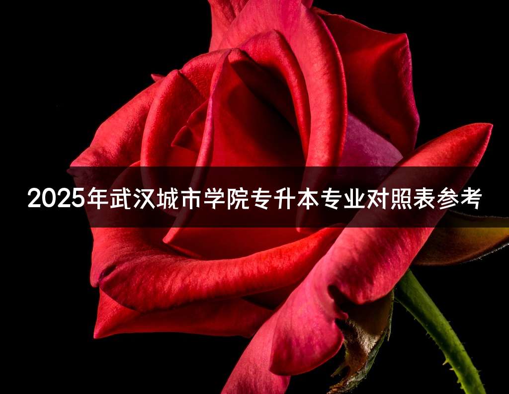 2025年武汉城市学院专升本专业对照表参考