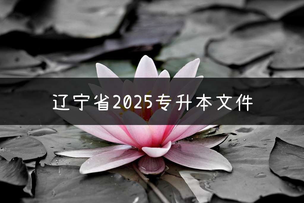 辽宁省2025专升本文件