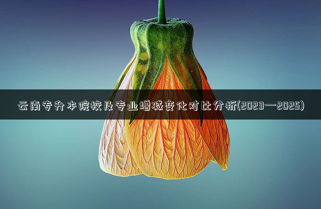 云南专升本院校及专业增减变化对比分析(2023—2025)