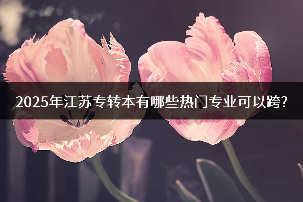 2025年江苏专转本有哪些热门专业可以跨?
