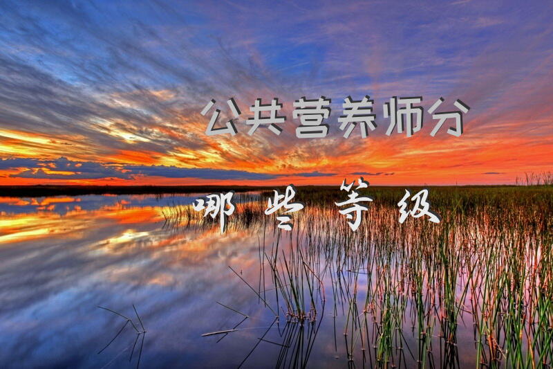 公共营养师分哪些等级