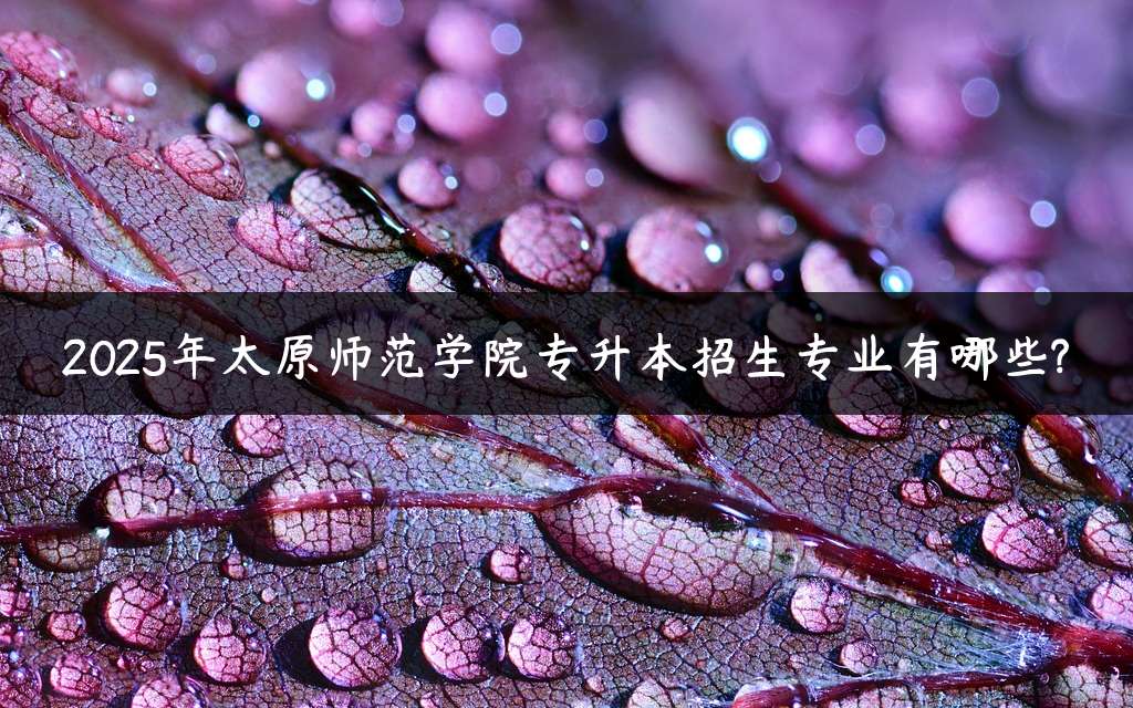 2025年太原师范学院专升本招生专业有哪些?