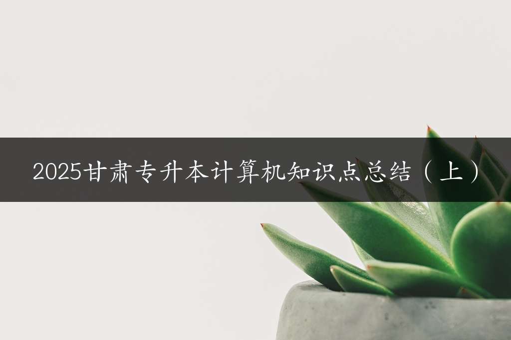 2025甘肃专升本计算机知识点总结（上）