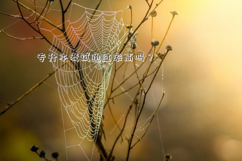 专升本考试通过率高吗？