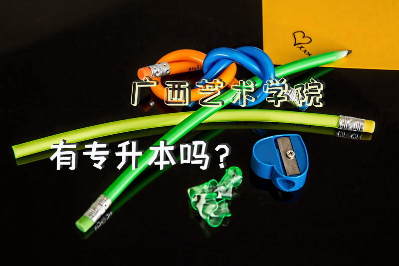 广西艺术学院有专升本吗？