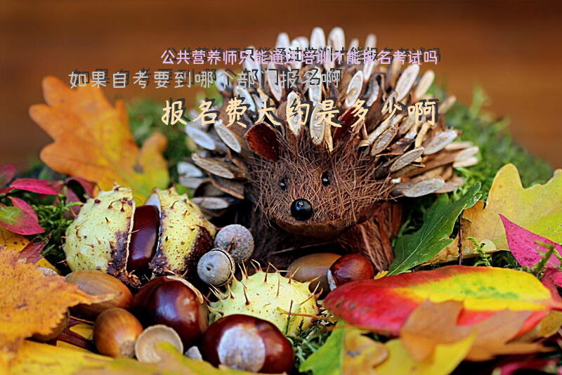 公共营养师只能通过培训才能报名考试吗？如果自考要到哪个部门报名啊？报名费大约是多少啊？