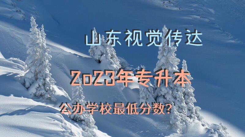山东视觉传达2o23年专升本公办学校最低分数？