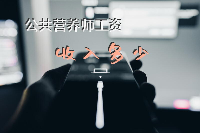 公共营养师工资收入多少