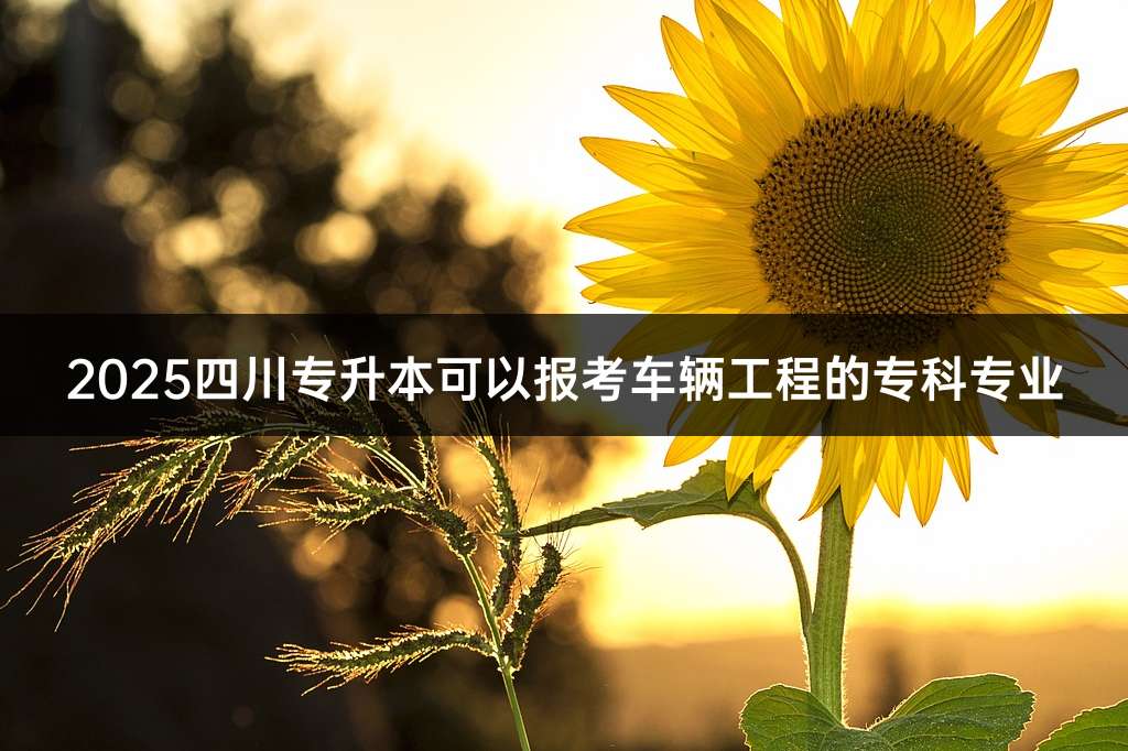 2025四川专升本可以报考车辆工程的专科专业