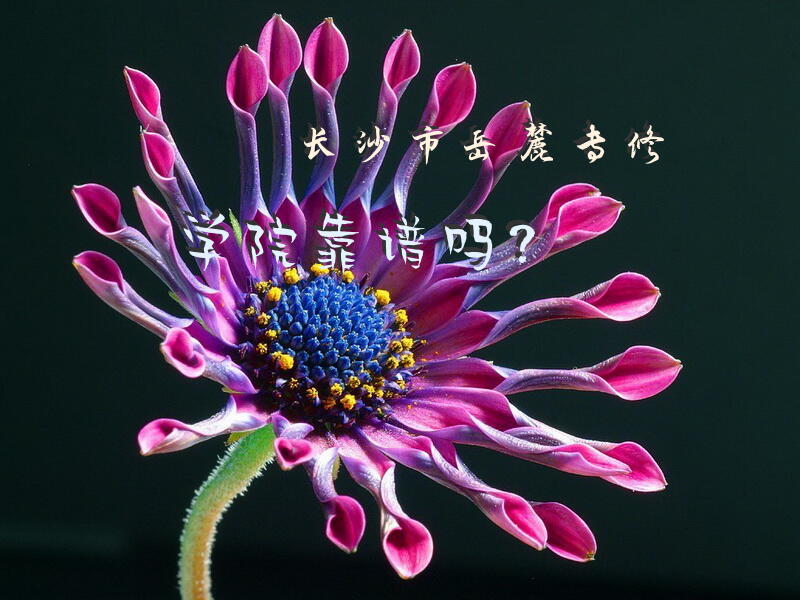 长沙市岳麓专修学院靠谱吗？