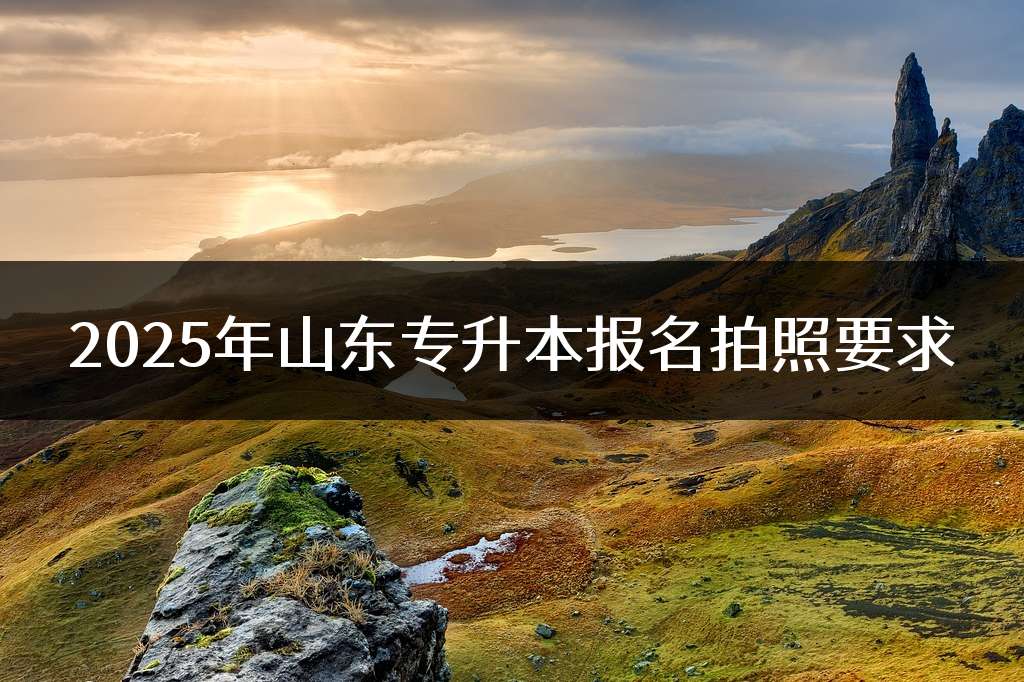 2025年山东专升本报名拍照要求