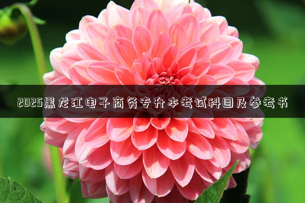 2025黑龙江电子商务专升本考试科目及参考书