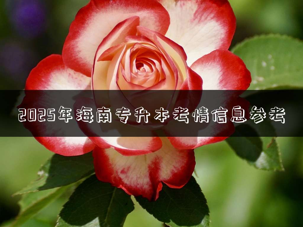 2025年海南专升本考情信息参考