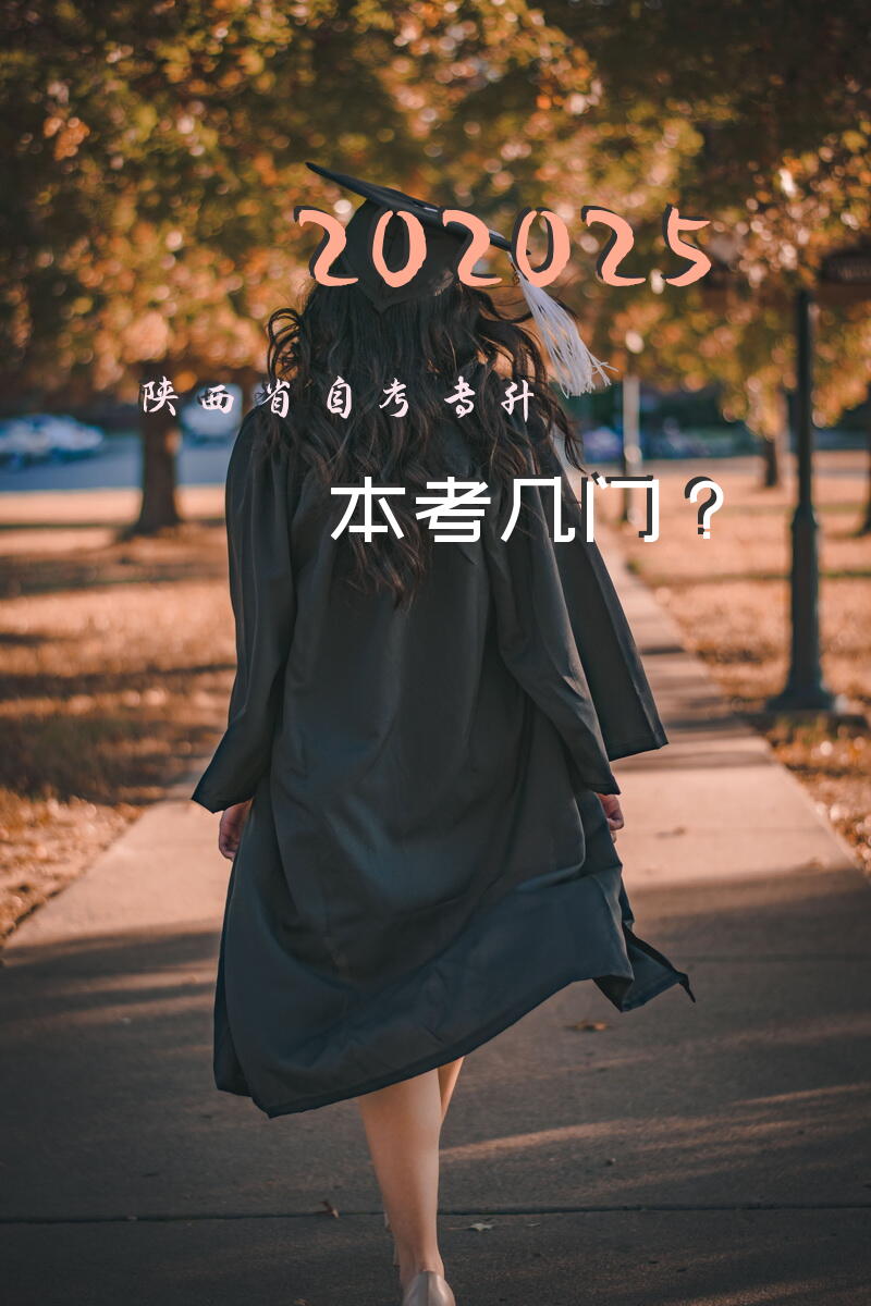 202025陕西省自考专升本考几门？