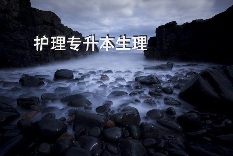 护理专升本生理
