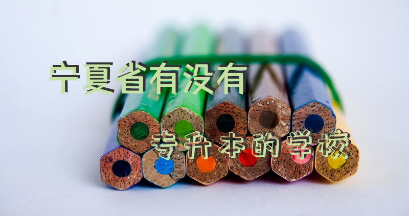 宁夏省有没有专升本的学校