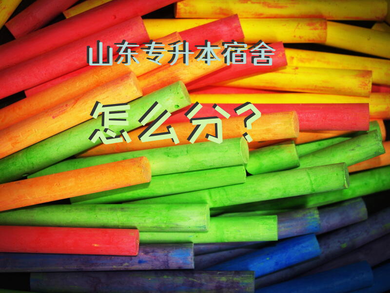 山东专升本宿舍怎么分？