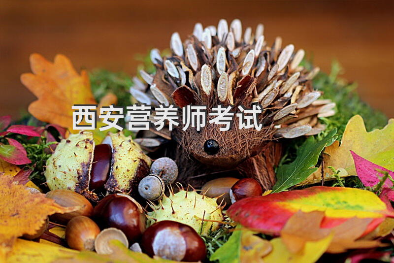 西安营养师考试