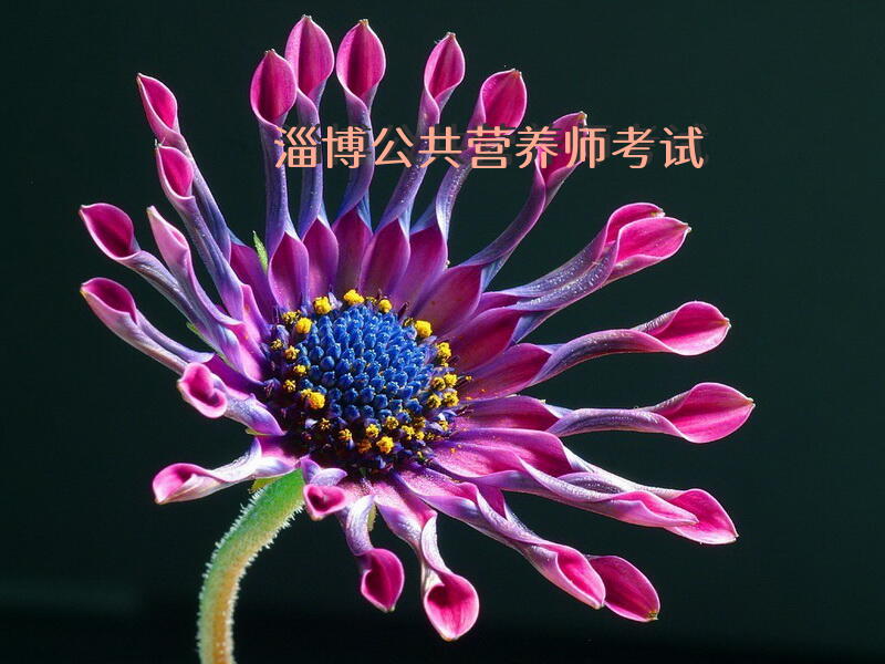 淄博公共营养师考试