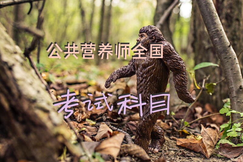 公共营养师全国考试科目