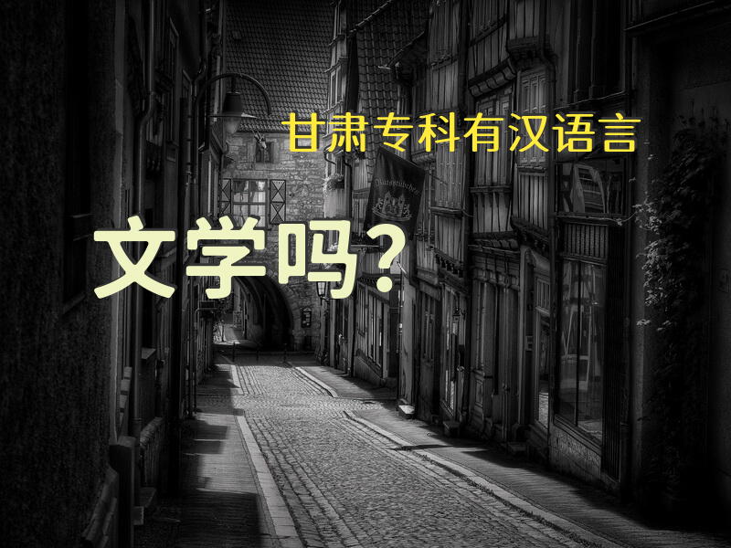 甘肃专科有汉语言文学吗？