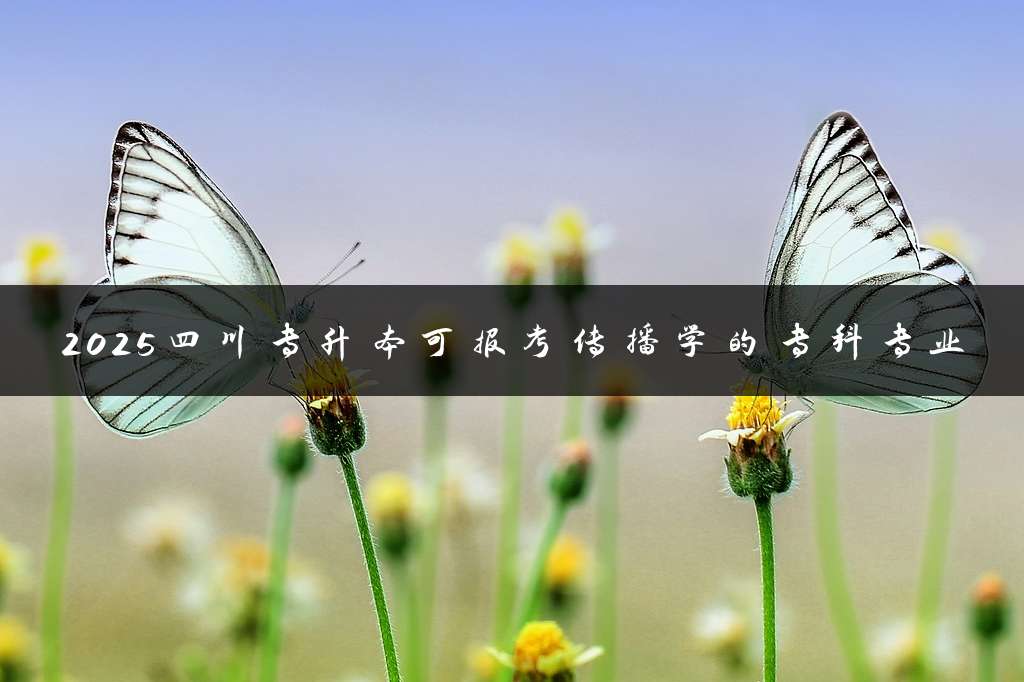 2025四川专升本可报考传播学的专科专业