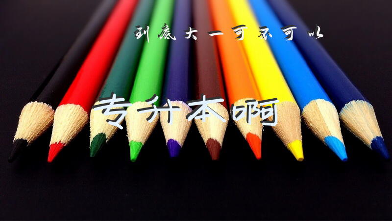 到底大一可不可以专升本啊