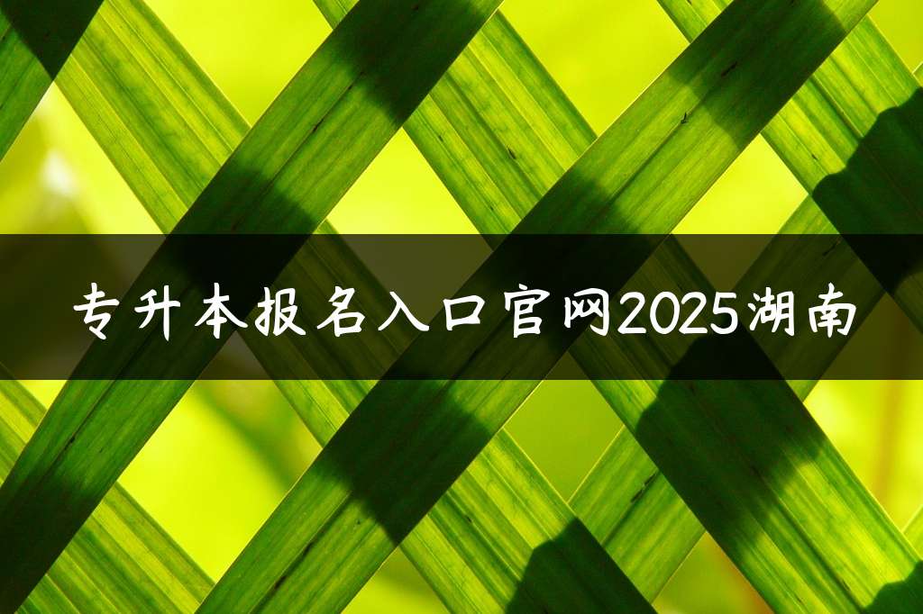 专升本报名入口官网2025湖南