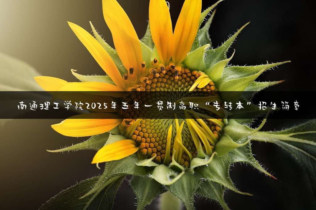 南通理工学院2025年五年一贯制高职“专转本”招生简章