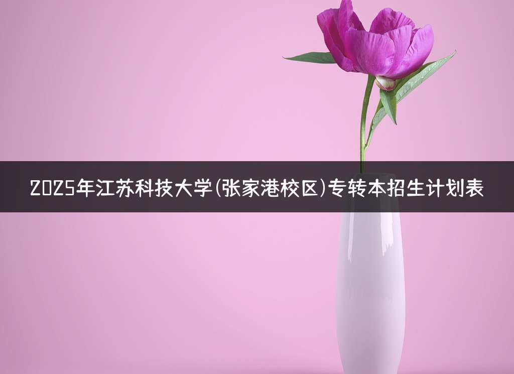 2025年江苏科技大学(张家港校区)专转本招生计划表