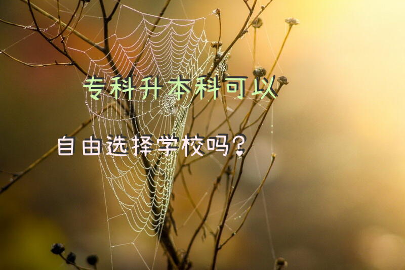 专科升本科可以自由选择学校吗？