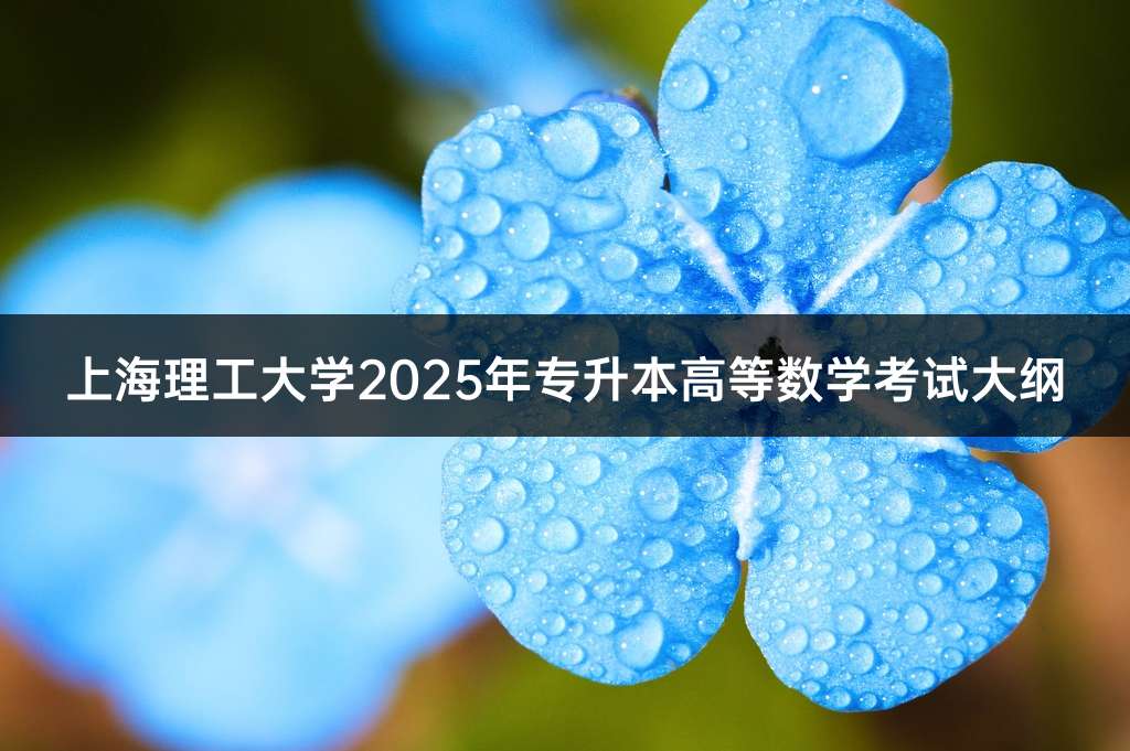 上海理工大学2025年专升本高等数学考试大纲