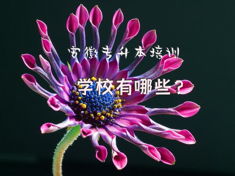 安徽专升本培训学校有哪些？