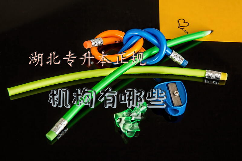 湖北专升本正规机构有哪些