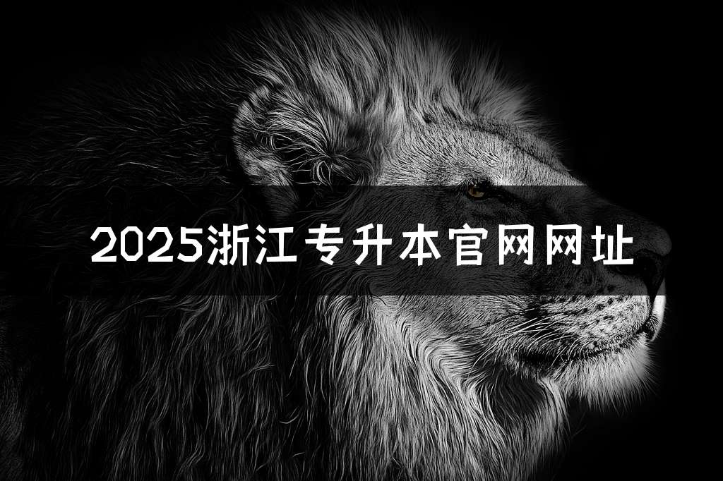 2025浙江专升本官网网址