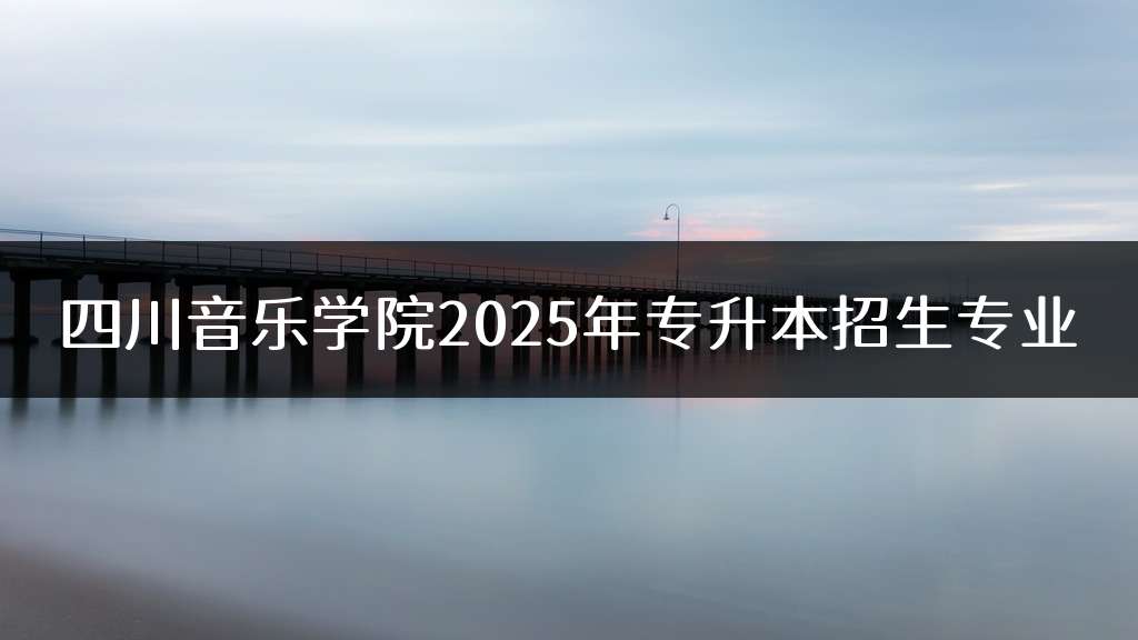 四川音乐学院2025年专升本招生专业