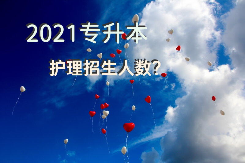 2021专升本护理招生人数？