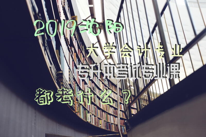 2019沈阳大学会计专业专升本考试专业课都考什么？
