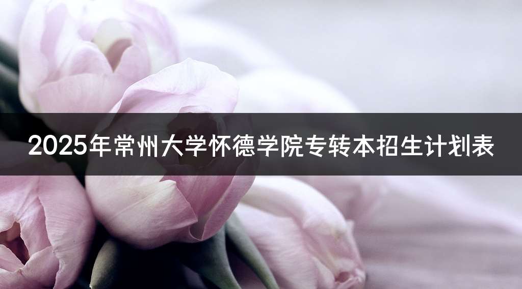 2025年常州大学怀德学院专转本招生计划表