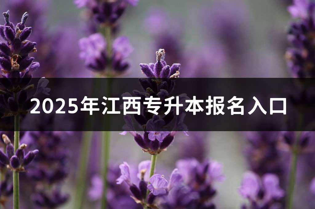 2025年江西专升本报名入口