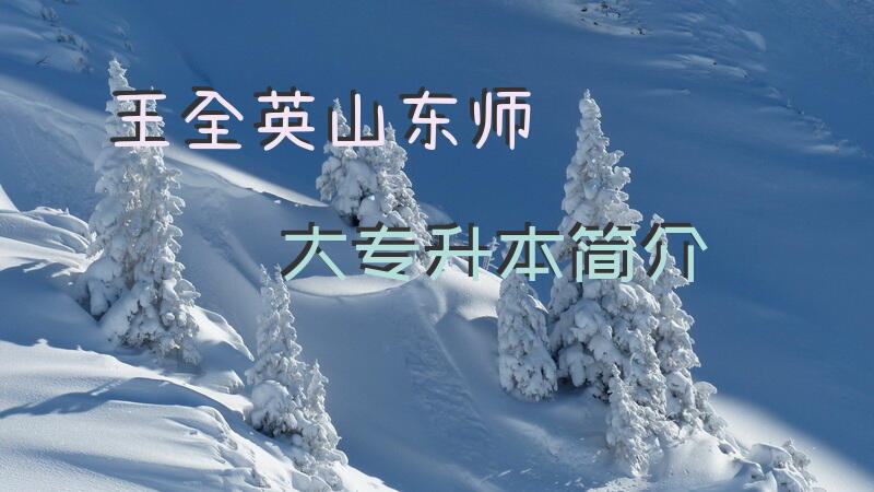 王全英山东师大专升本简介
