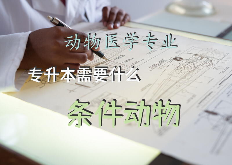 动物医学专业专升本需要什么条件，动物