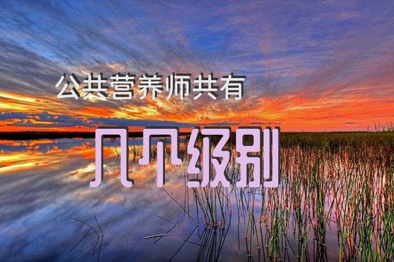 公共营养师共有几个级别