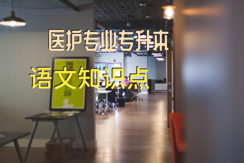 医护专业专升本语文知识点