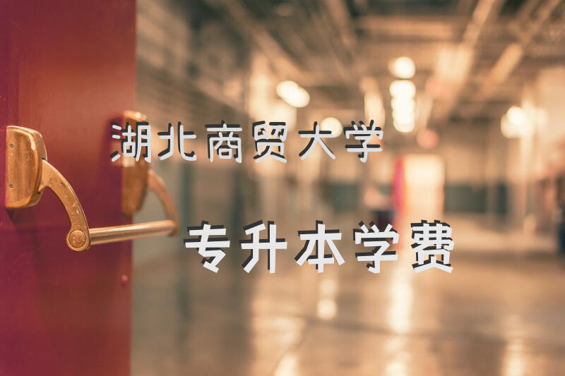 湖北商贸大学专升本学费