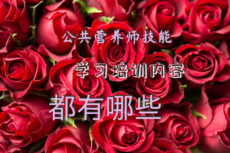 公共营养师技能学习培训内容都有哪些